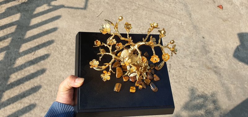 Cây hoa mai mạ vàng HM02